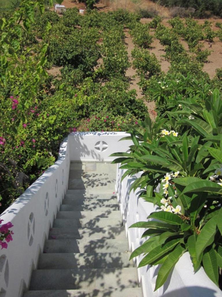 Mochlos Mare Exterior photo