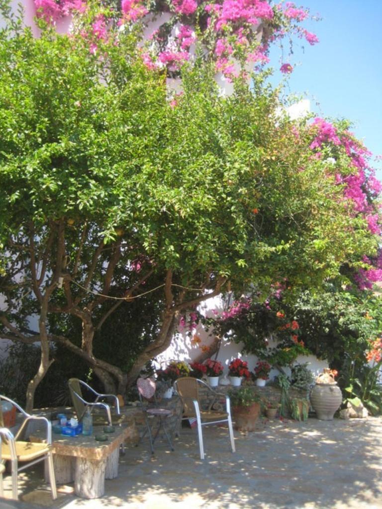 Mochlos Mare Exterior photo